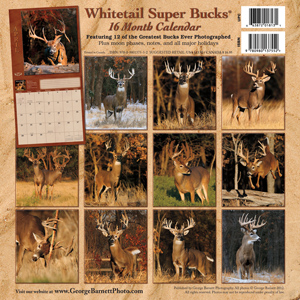 Whitetail Super Bucks 2013 Calendar
